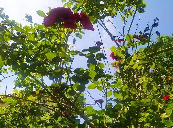 Appartement Batalaza Kali