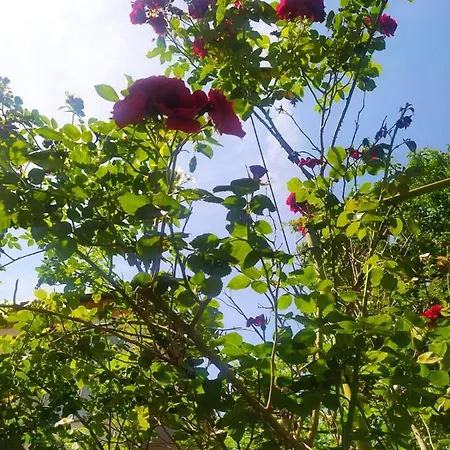 Apartamento Batalaza Kali